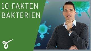 10 Fakten über Bakterien, die jeder kennen sollte! | Gerne Gesund