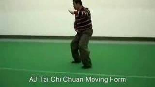 Vincent Chu's Form - http://www.gstaichi.org