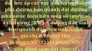 đất héc ấp cây cày tân hưng đồng phú bình phước đường ĐT 753 đi vào 7kmI anh dũng đất nền bình phước