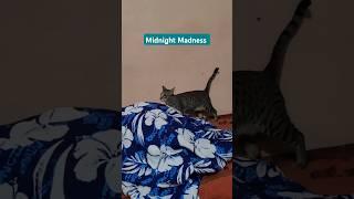 Midnight Madness........