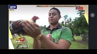 Part 2 Tips and Pointers mula kay BM Jan Alberto ng CA & Triumph Impact Farms