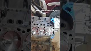 tmr the heads go on.