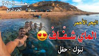 أجمل بحر سبحت فيه | كشتة حقل البحر الأحمر | رحلة ٢٠٢٠ | الحلقة الرابعة