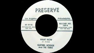 Gaynel Hodge And The Turks - What Now