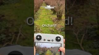 How to fly narrow orchard! #dji Mini 3 Pro #drone