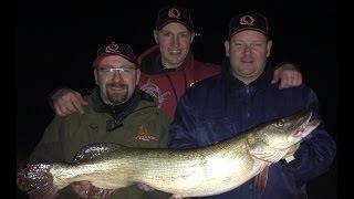 Edersee Guiding auf Barsch, Zander und Hecht mit Dimitri Schill.