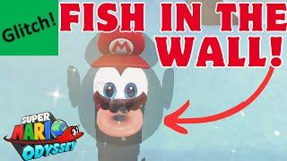 Super Mario Odyssey Lake Kingdom Glitches! (STILL WORKING 2024!)