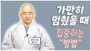 [성진스님의 달고나]가만히 멈췄을 때 집중하는 방법!"