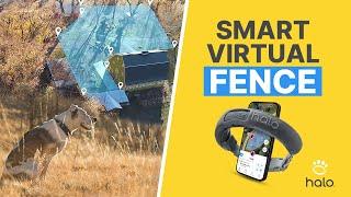 HOW THE HALO COLLAR WORKS? CREATE SMART VIRTUAL GPS DOG FENCES ANYWHERE