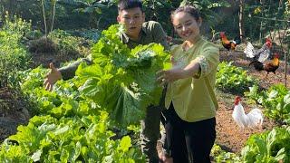 Harvest giant vegetables and sell them to the pilot agricultural CEO