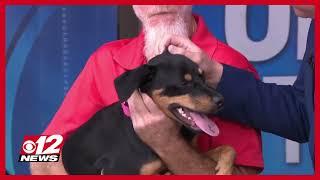 CBS12's News Pet of the Day for Wednesday