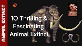 Gone but Not Forgotten: 10 Fascinating Animals That Went Extinct in 2024