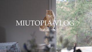 Slow Life With Two Cats: Croissant & Colorful Salad  Cozy Forest | Miutopia Story 08