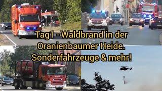 Waldbrand in Oranienbaumer Heide auf 50 Hektar! 180 Kräfte im Einsatz - Einsatzfahrten & mehr!