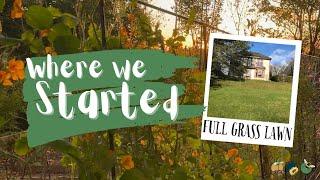 Building A Food Forest in Scotland. Where We Started In 2019.