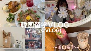 JP/KR)【韓国留学VLOG】#33 新しいクラスメイトと遊ぶ！/カンアンリ/새로운 반 친구와 놀다/광안리