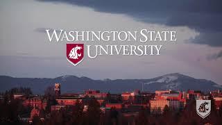 Experience Washington State University