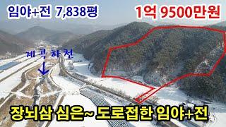 [횡성토지매매] 임산물 재배하기 좋은~ 도로접한 임야+전 ● 임야 27,233㎡ (7,208평) + 전 2,082㎡(630평) ● 매매 1억9500만원 ● (7849)