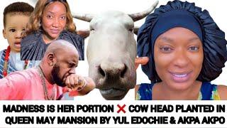 MADNESS IS HER PORTION ️ COW HEAD PLANTED IN QUEEN MAY MANSION BY YUL EDOCHIE & AKPA AKPO