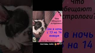 Сон в ночь с 13 на 14 января