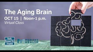 The Aging Brain