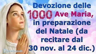 Devozione delle mille Ave Maria, in preparazione del Natale (da recitare dal 30 nov. al 24 dic.)