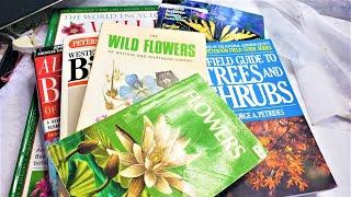 Junk Journal How and Where to Find Field Guides for Junk Journals! Take a Peek! :) The Paper Outpost