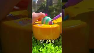 내 계란을 알록달록 색칠하고 싶어! 