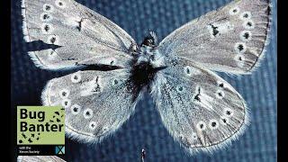Episode 1: Xerces - What?