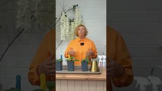Полное видео уже на нашем канале #экодачник #дача #огород #урожай #рецепты #сад #садоводство