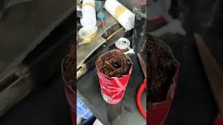 Ok so I have 2 and one I added water first to soak in the bark which might push the oil out as it go