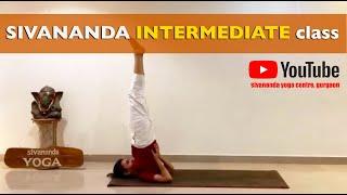 Sivananda Yoga Class - 60 min session | Intermediate variations