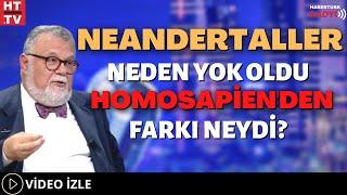 Neandertaller Neden Yok Oldu, Homosapien'den Farkı Neydi ?