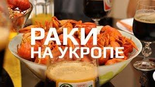 Как варить раков | Рецепт: раки на укропе