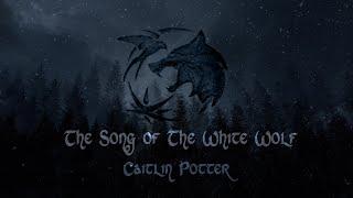 The Witcher - The Song of the White Wolf