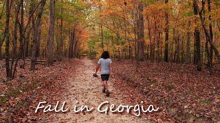 5 Great AUTUMN Fall Hikes in Georgia!