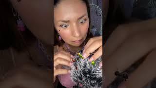 Searching for Bugs   w/ ASMR Miss Mi #asmr #shorts no. 130 #shortsvideo