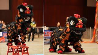 Zhong Yi Kung Fu Association - Youth Lion Dance - 3rd USDLDF National Championships 2023