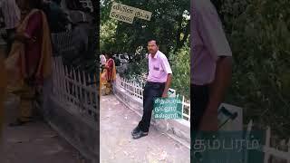 சிதம்பரம் முட்லூர் கல்லூரி. counselling time, #nature ,️️