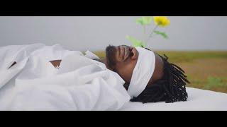 Fameye - LONG LIFE (Ft.  Kwesi Arthur) (Official Video)