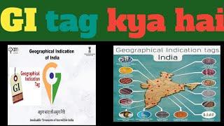 what is GI tag l GI tag kya hai  l GI tag in India 2021 l #shorts #gitags #viralkardo