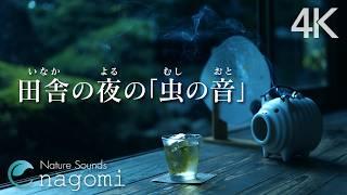 Nature Sounds | Sounds of the japanese countryside at night | Sleeping, Relax