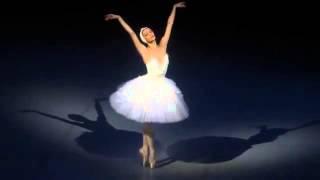 Ольга Смирнова Лебедь 10 11 2013