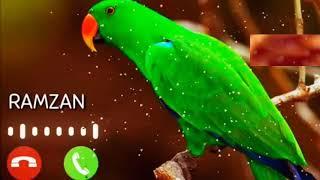 ramzan ringtone | islamic ringtone 2021 | naat sharif ringtone |Ramadan ringtones