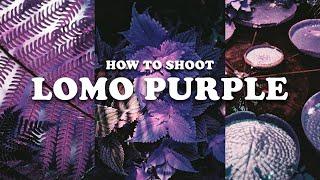 How to get the BEST of out Lomochrome Purple  |  Film photography for beginners