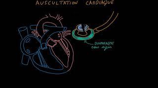 Auscultation cardiaque   Partie 1   Introduction   Docteur Synapse