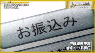 【記者解説】特殊詐欺被害の傾向と対策【News Linkオンライン】