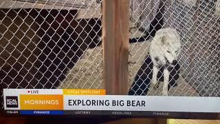 Big Bear Alpine Zoo on The News Today.