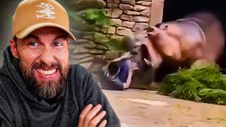 LEBENSGEFAHR IM ZOO! Tierpfleger mit Wildtier im Gehege eingesperrt | Robert Marc Lehmann reagiert