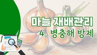 [영농기술] 마늘 재배관리 4. 병충해 방제